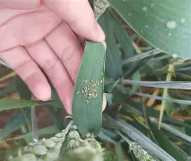 耡?酾sa侭*勴X鲉??B-凯发登录